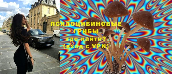 прущая мука Карталы
