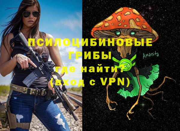 гидропоника Карпинск