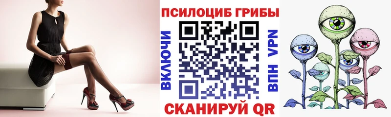 как найти закладки  Пудож  Псилоцибиновые грибы мицелий 